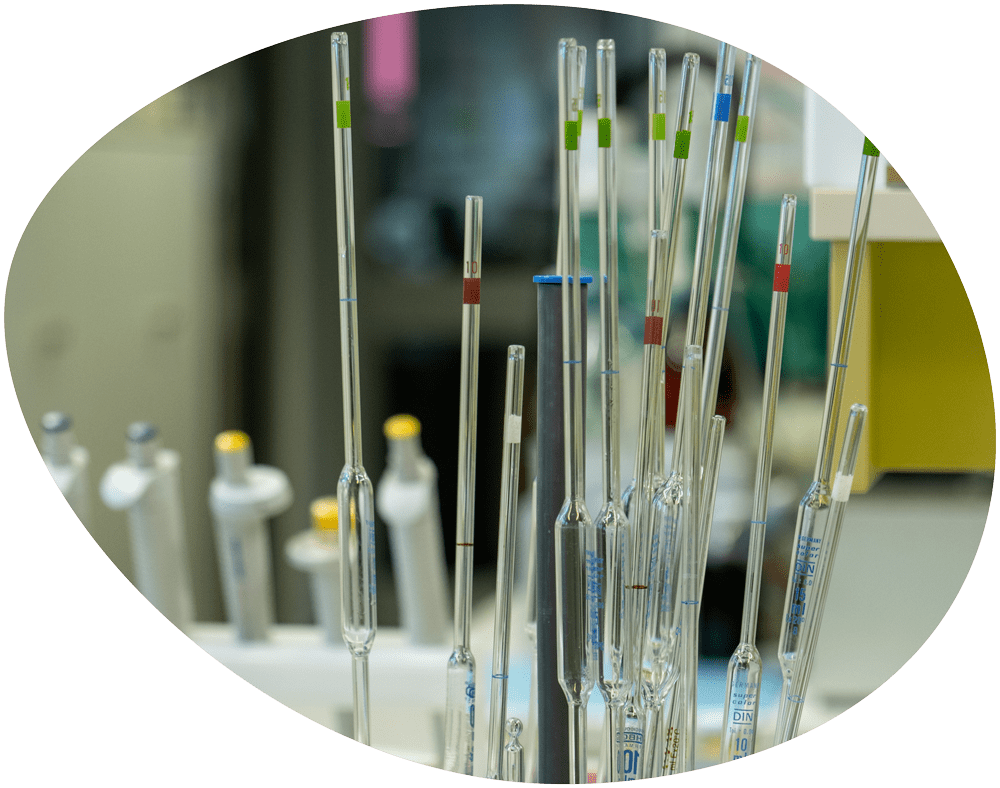 efre-fesr_oval_def_1000px